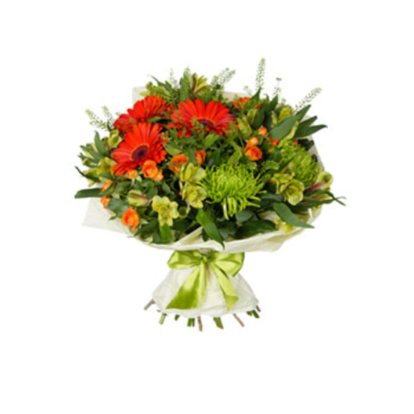 Новый проект (33)