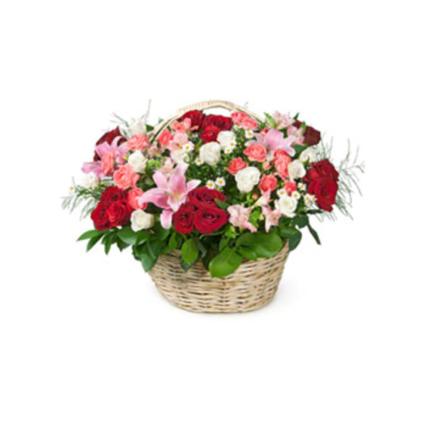 Новый проект (35)